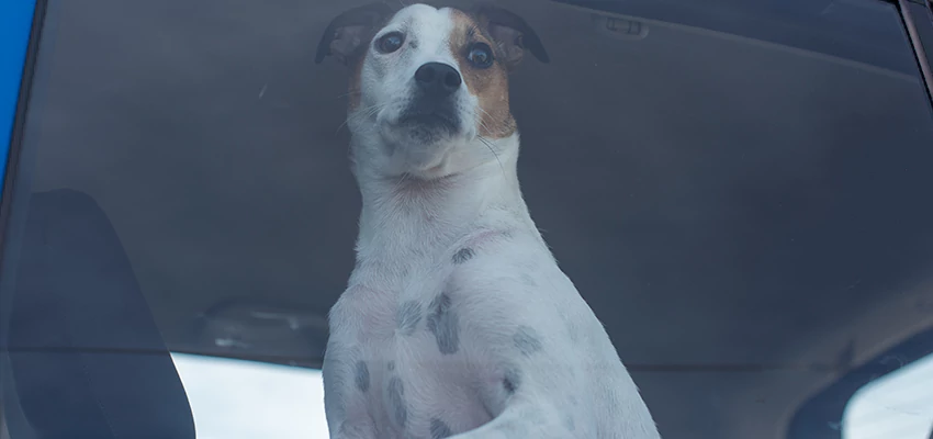 Car Lockout Solutions in Santee, California